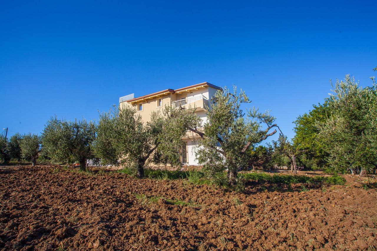 Il Gallo Con Gli Stivali Termoli Zewnętrze zdjęcie