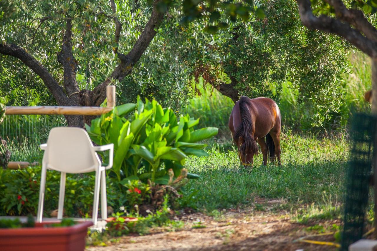 Il Gallo Con Gli Stivali Termoli Zewnętrze zdjęcie