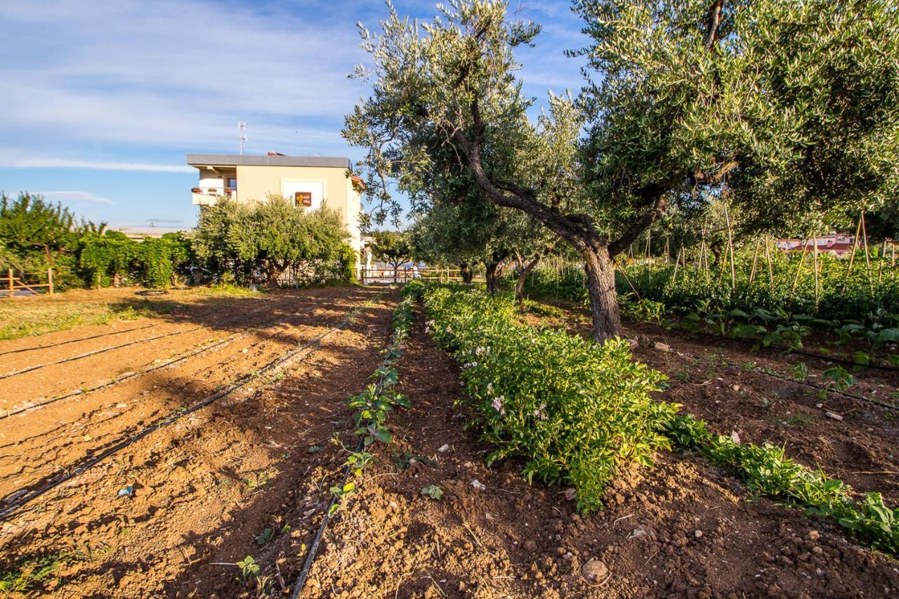 Il Gallo Con Gli Stivali Termoli Zewnętrze zdjęcie
