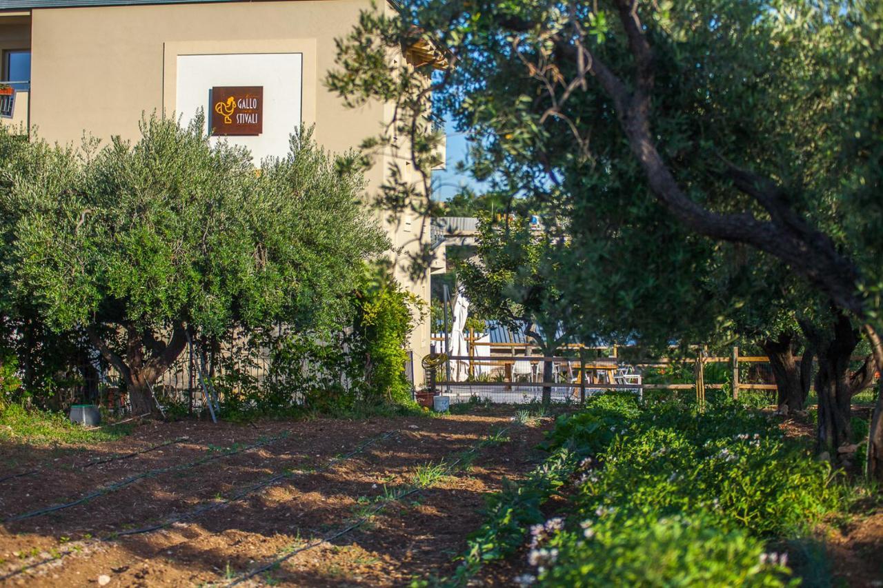 Il Gallo Con Gli Stivali Termoli Zewnętrze zdjęcie